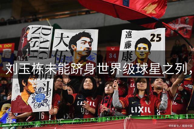 刘玉栋未能跻身世界级球星之列，中国男篮历史顶级仅四人